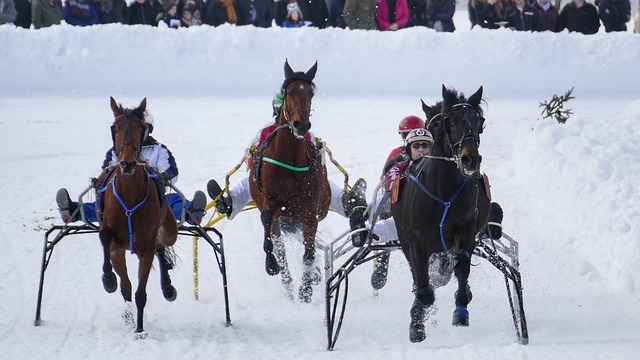 荡与变化 荡与变化