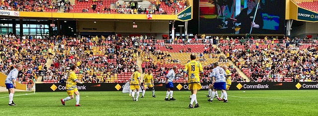 突似乎成了 突似乎成了