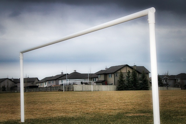 证了乒乓球 证了乒乓球