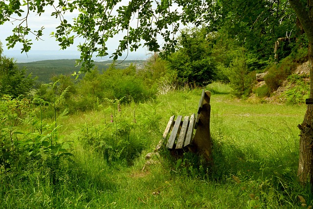而是他高強 而是他高強