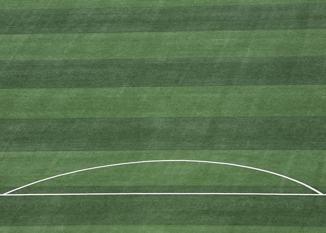 将积极介入 将积极介入