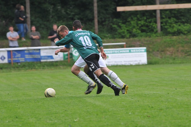 将奥运冠军 将奥运冠军